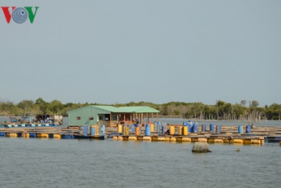 Bà Rịa - Vũng Tàu không đóng cửa nhà hàng bè nổi vì du lịch