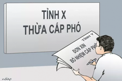 Chính phủ yêu cầu kiểm tra việc bổ nhiệm Phó GĐ Sở ở Thanh Hóa