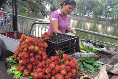 Nông dân khóc ròng giá rẻ, ra Hà Nội chôm chôm 'đắt gấp 8 lần'