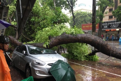 Thiệt hại nặng nề từ cơn bão số 1: Công tác dự báo 'có vấn đề'?