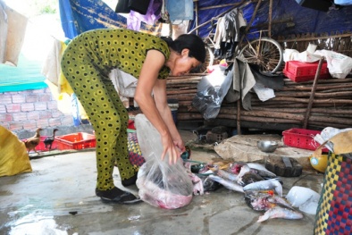 Gần 50 người nhập viện vì ăn đầu cá hồng