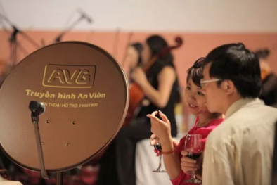 Thủ tướng yêu cầu thanh tra toàn diện vụ Mobifone mua AVG