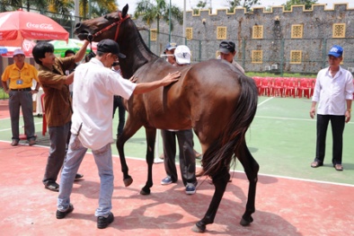 Đại gia Dũng 'Lò Vôi' xây trường đua 100 triệu USD