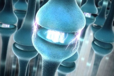 'Hack' dây thần kinh để kiểm soát bệnh tiểu đường