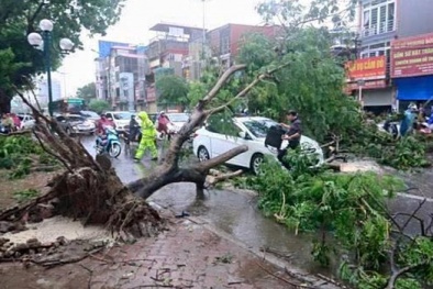 Hà Nội: Thiệt hại nặng nề gần 200 tỷ đồng sau cơn bão số 1