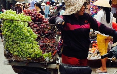 Bốn loại quả Trung Quốc đội lốt hàng sạch lừa dân Việt