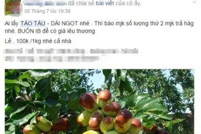 Hà Thành liều mạng: Ăn 'thần dược' táo tàu Trung Quốc thâm xỉn