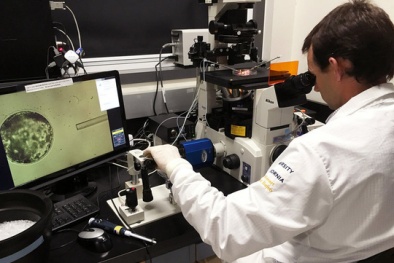 Mỹ cân nhắc thí nghiệm “nửa người nửa thú”