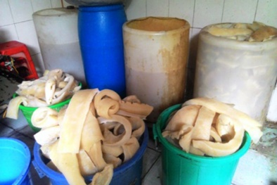 Cẩn trọng với món 'nem đặc sản' từ bì lợn thối 