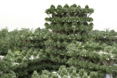 Kinh ngạc thiết kế ngôi nhà bằng tre chứa tới 20 nghìn người