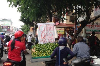 Bán dạo chanh đào tại Sài Gòn kiếm tiền triệu mỗi ngày