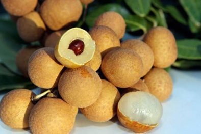 Cách phân biệt nhãn Trung Quốc và nhãn lồng Hưng Yên đơn giản nhất