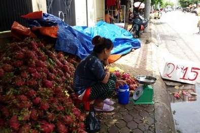 Thanh long đổ đống ở Sài Gòn: 1 vốn 14 lời!