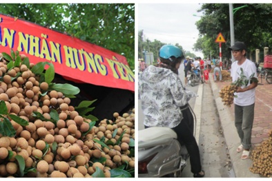 Nhãn lồng Hưng Yên 'nhái' tràn ngập thị trường Hà Nội