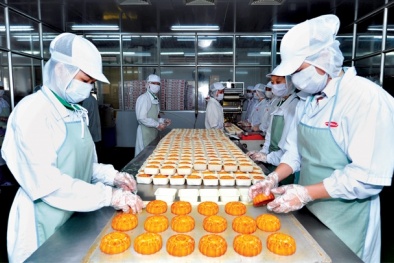 Thị trường bánh Trung thu 2016: 'Nhiều thương hiệu mới'