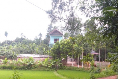 Khai quật mộ chồng vừa chôn cất, hé lộ sự thật ghê rợn của vợ