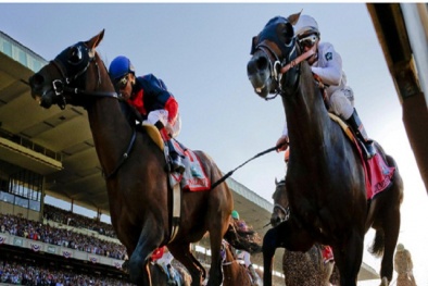 Thí điểm kinh doanh cá cược: Liệu đẩy máu cờ bạc lên cao trào?