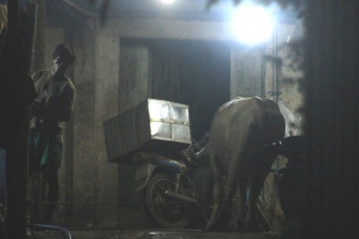 Những lò mổ không phép hành dân, thách thức chính quyền