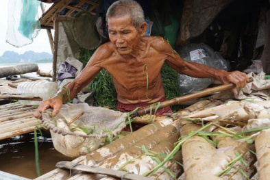 Gần 9 tấn cá lồng chết trắng sông Mã