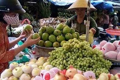 Nở rộ trái cây Trung Quốc núp bóng hàng Việt