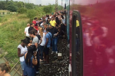 Pháp: 60 người bị thương vì tàu cao tốc đâm vào cây