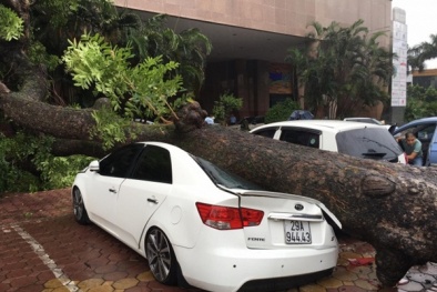 [Ảnh] Bão số 3 đang hoành hành: Hà Nội ngập tắc, cây đổ nhiều nơi