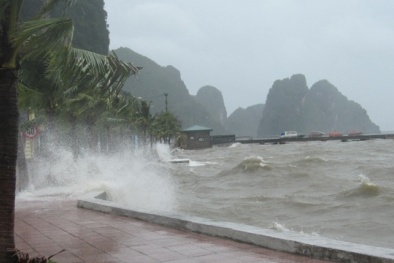 Bão số 3: Danh sách các chuyến bay Vietnam Airlines bị hủy ngày 19/8