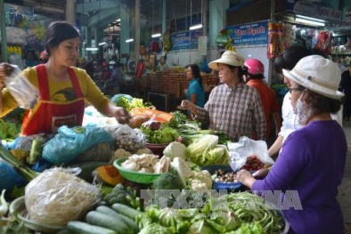 Rau xanh, tôm cá đắt khách do ảnh hưởng của bão số 3 