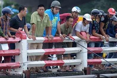 Hà Nội: Dân đi bắt cá sông Tô Lịch như đi hội sau cơn bão số 3