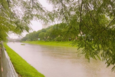 Sau bão số 3, nước sông Tô Lịch 'bất ngờ' trong xanh 