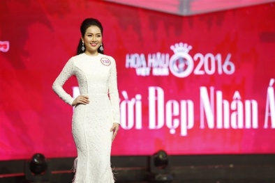 Trấn Thành ví thí sinh Hoa hậu Việt Nam như “thảo dược quý” 