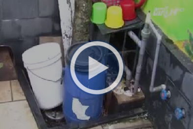 Giáo viên mầm non tố trường học dùng nước giếng bẩn nấu ăn cho trẻ