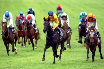 Hà Nội sắp có trường đua ngựa 500 triệu đô la