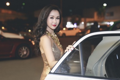 Năm 2016 đánh dấu bước ngoặt trong sự nghiệp của Võ Hạ Trâm