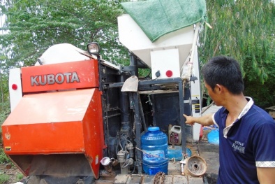 Nạn bảo kê đồng ruộng ở Quảng Bình: Nộp 5 triệu mới được gặt lúa