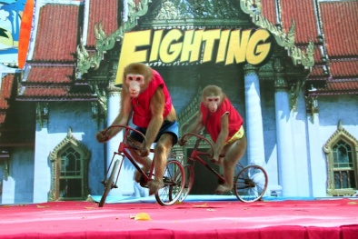 Điểm danh những điểm mua sắm, vui chơi khuyến mãi ‘khủng’ dịp lễ 2/9