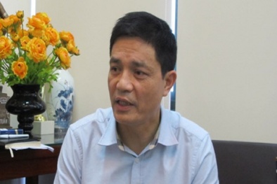 Vẫn phải tiếp tục theo dõi chất lượng cá tại 4 tỉnh miền Trung