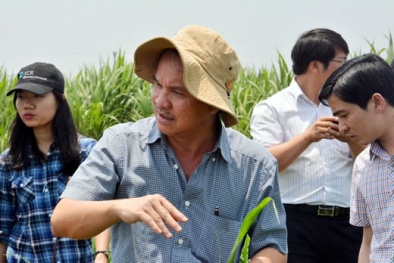 Vì sao công ty bầu Đức báo lỗ hàng nghìn tỷ đồng?