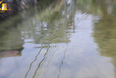 Cận cảnh nhà dân thành ao tù hôi thối giữa Hà Nội