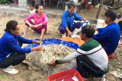 Công ty Formosa chuyển nốt 250 triệu USD tiền bồi thường trong 2 ngày tới