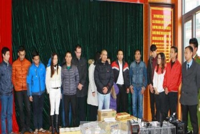 Nhóm 'chóp bu' HGI lãnh án vì 60.000 lệnh giao dịch vàng ảo