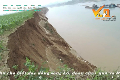 Tuyên Quang: Khai thác cát hoành hành - sông Lô kêu cứu!