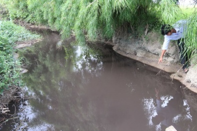 Công ty TNHH Green Farm Asia bị phạt hơn 400 triệu đồng vì gây ô nhiễm ở Đắk Nông