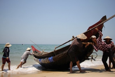 Bộ NN&PTNT: Ngư dân miền Trung đã được phép khai thác hải sản 