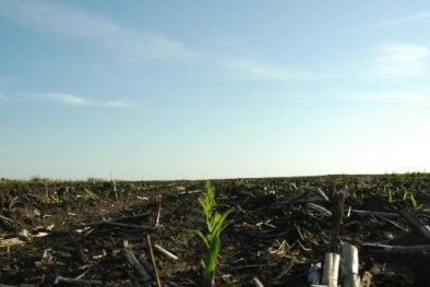 Máy cảm biến đất Veris giúp người nông dân những gì? 