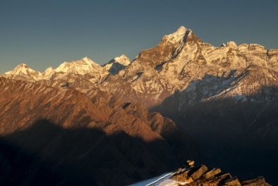 Ấn Độ chi 3,7 triệu USD tìm cây hồi sinh