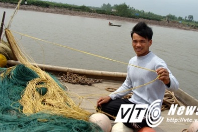 Chàng trai đánh cá và...'cá vàng' bạc tỷ chấn động Thái Bình