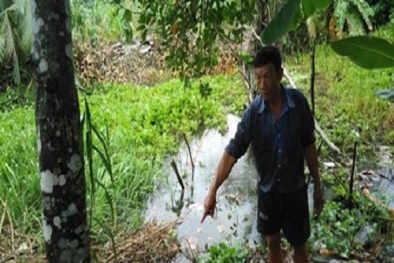 Chủ vựa trái cây tạo hiện trường giả hoang báo bị cướp 70 triệu