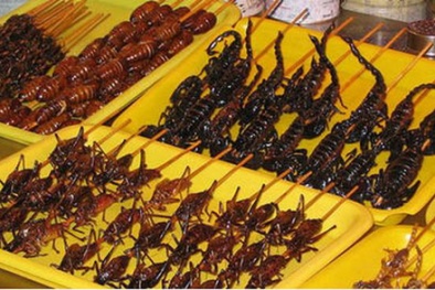 Cảnh báo ngộ độc do ăn côn trùng