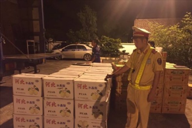 Tạm giữ số lượng hoa quả lớn không rõ nguồn gốc xuất xứ